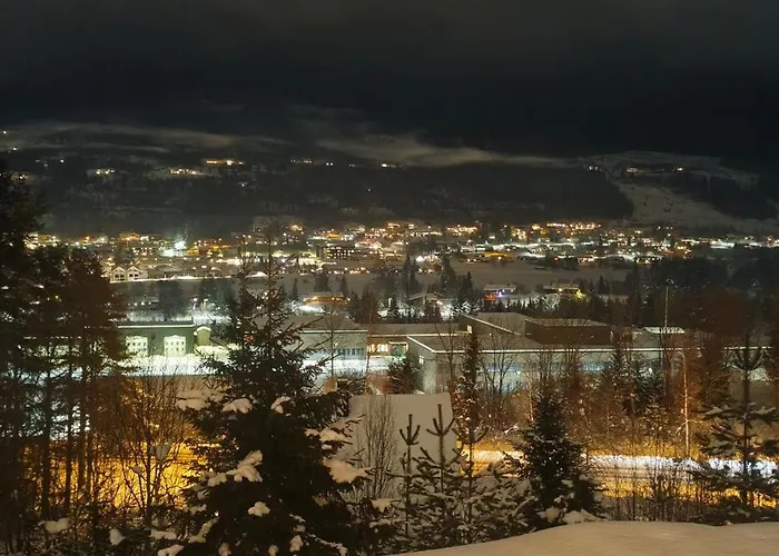 Turistesenter Villa *